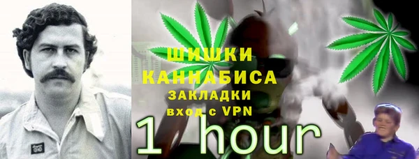 шишки Алзамай