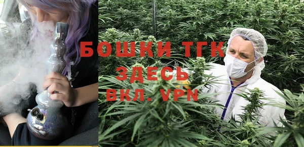 шишки Алзамай