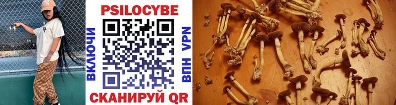 Галлюциногенные грибы мухоморы  Макушино 